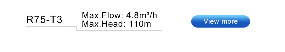 2 submersible well pump 2 pompes de puits submersibles
