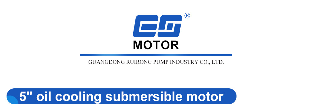 pompes &agrave; eau submersibles